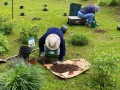 2022-05-19-Margie-and-Jim-Mertz-planting-Dahlias-in-Memorial-garden-IMG_4602