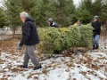 2022-12-15-CLC-Tree-harvest-and-uprighting-IMG_7038