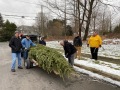 2022-12-15-CLC-Tree-harvest-and-uprighting-IMG_7040